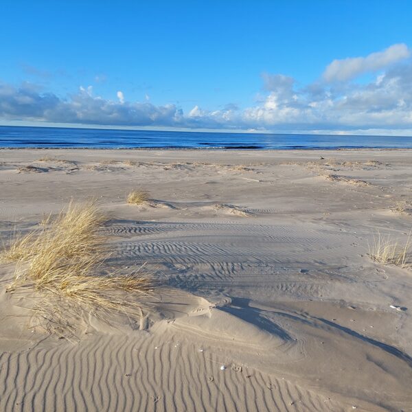 The beach is 600 m from the campsite, the sandy area is wide and without stones.